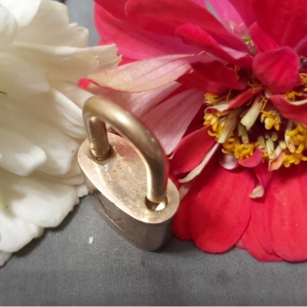 Louis Vuitton  Lock N Key Set - Picture 5 of 5